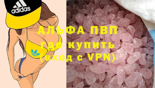 дживик Козельск
