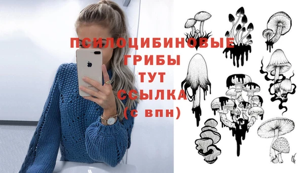 соль курить ск Кодинск