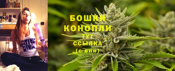 дживик Козельск