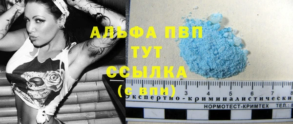 дживик Козельск