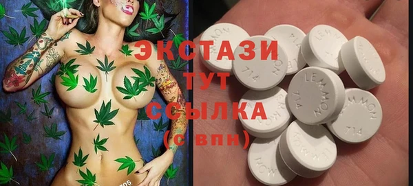 дживик Козельск