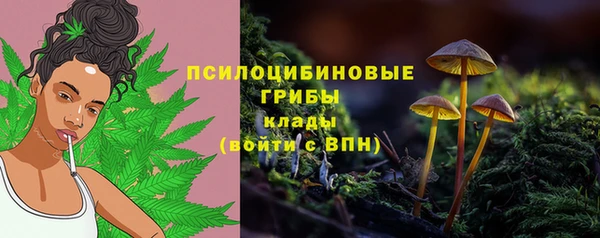 2c-b Красноперекопск