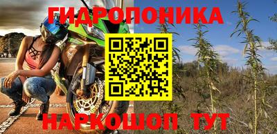 стаф Кулебаки