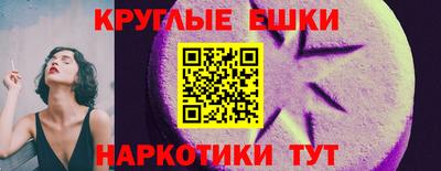 стаф Кулебаки