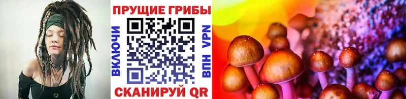 Псилоцибиновые грибы мицелий  Похвистнево 