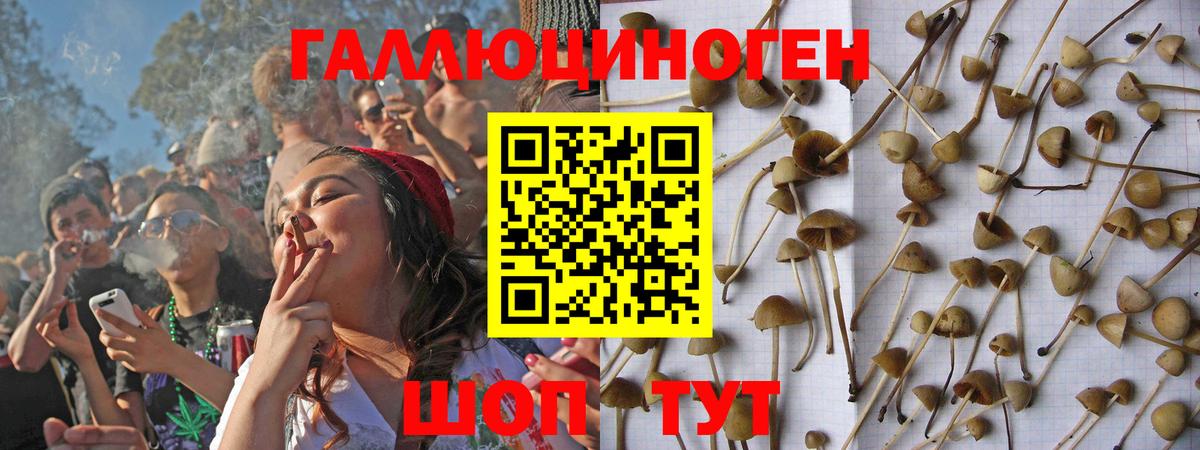Похвистнево  Галлюциногенные грибы мицелий  Вход с VPN 