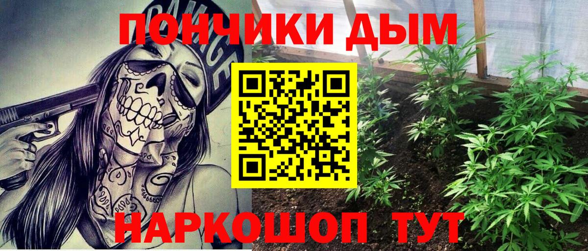 Похвистнево  Бошки Шишки OG Kush  Шишки марихуана план  Канабис White Widow  Вход с VPN 